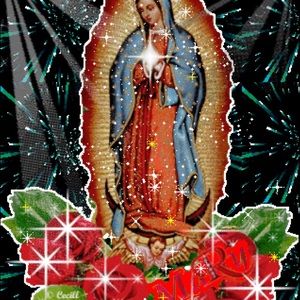 Meet your Posher, Faviola